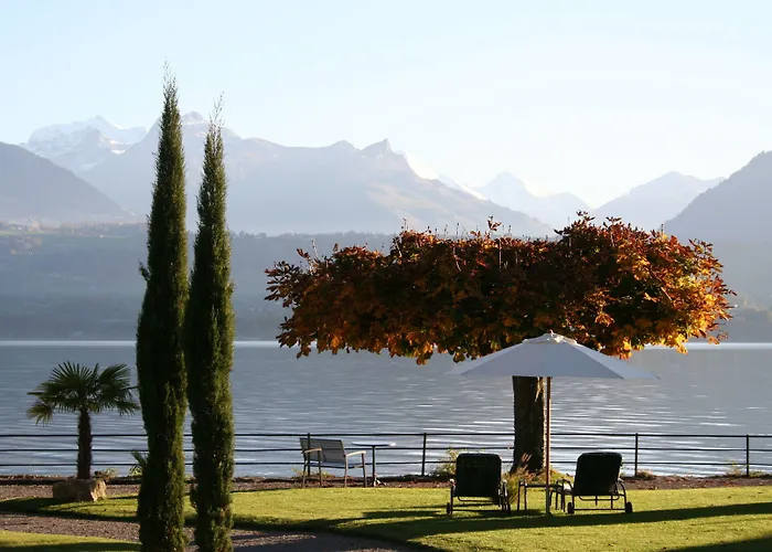 Parkhotel - & Hotel Gunten